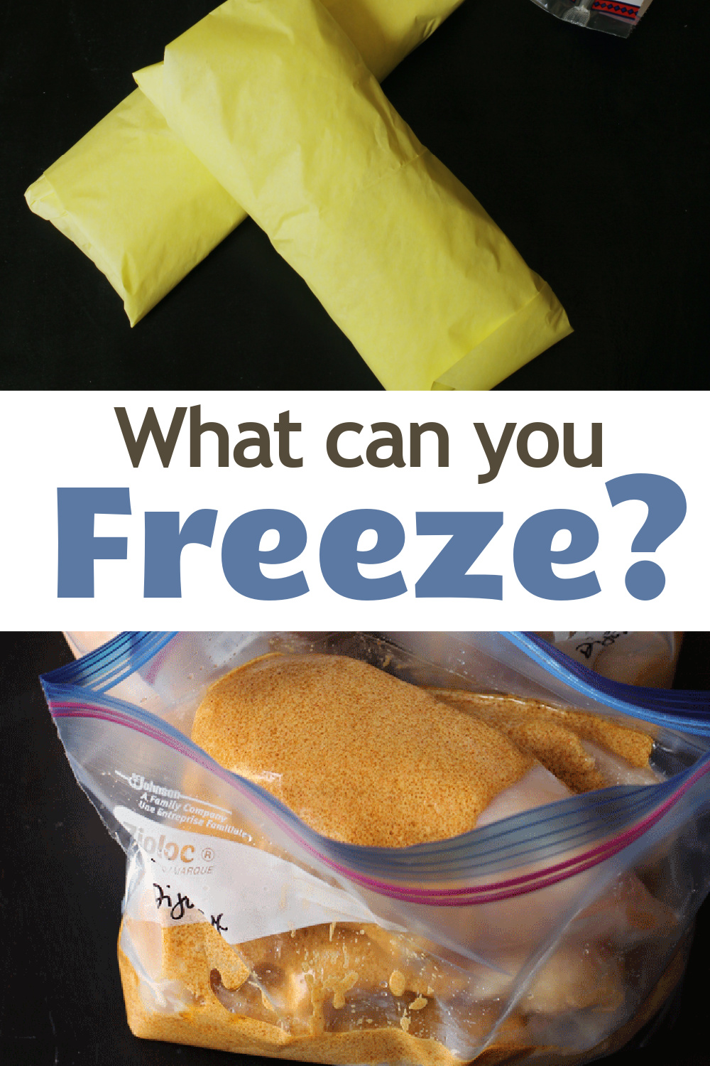 pin illustrating what you can freeze
