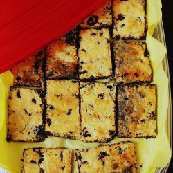 chocolate magic bars in red plastic box to freeze