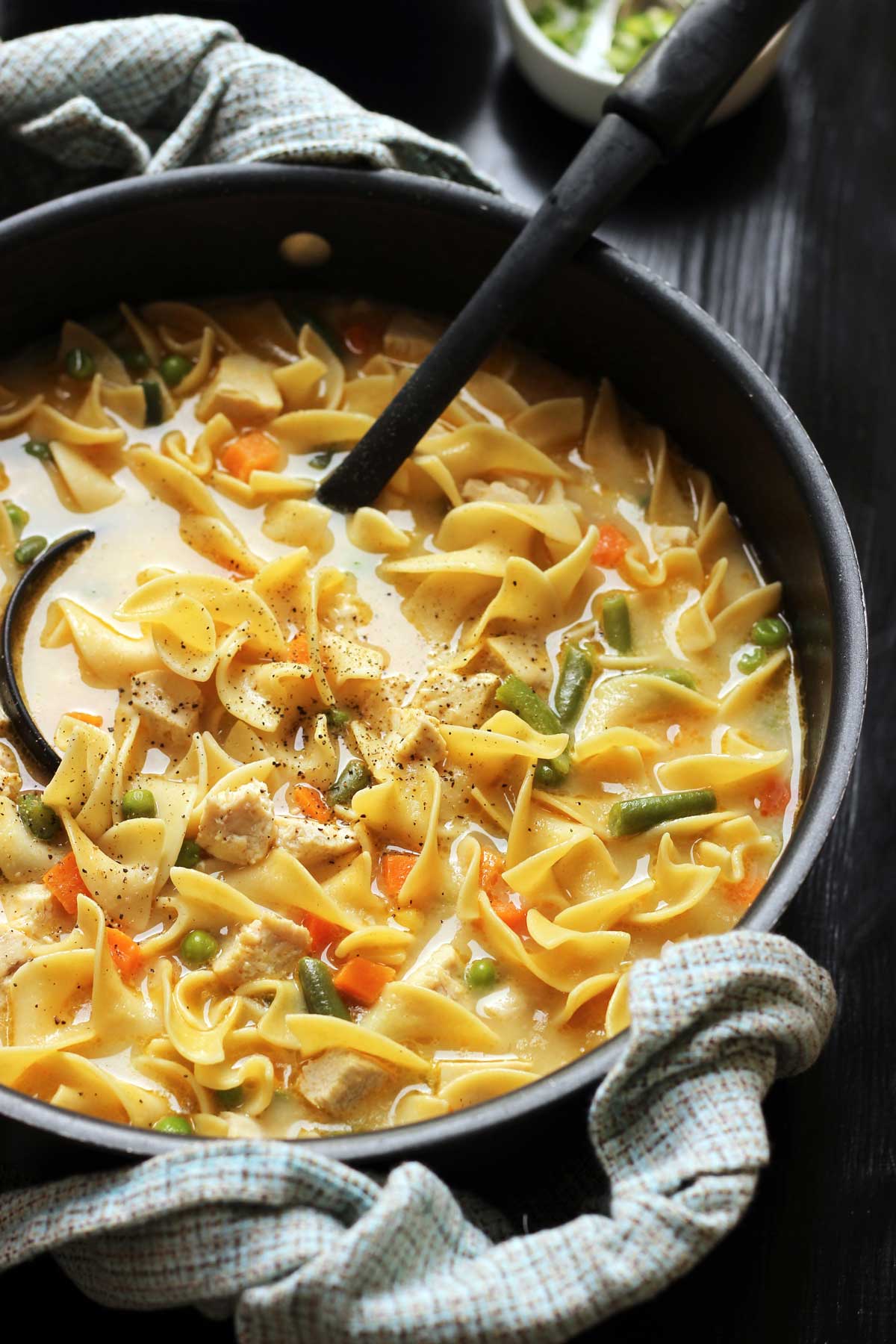 pot of creamy chicken noodle soup with ladle