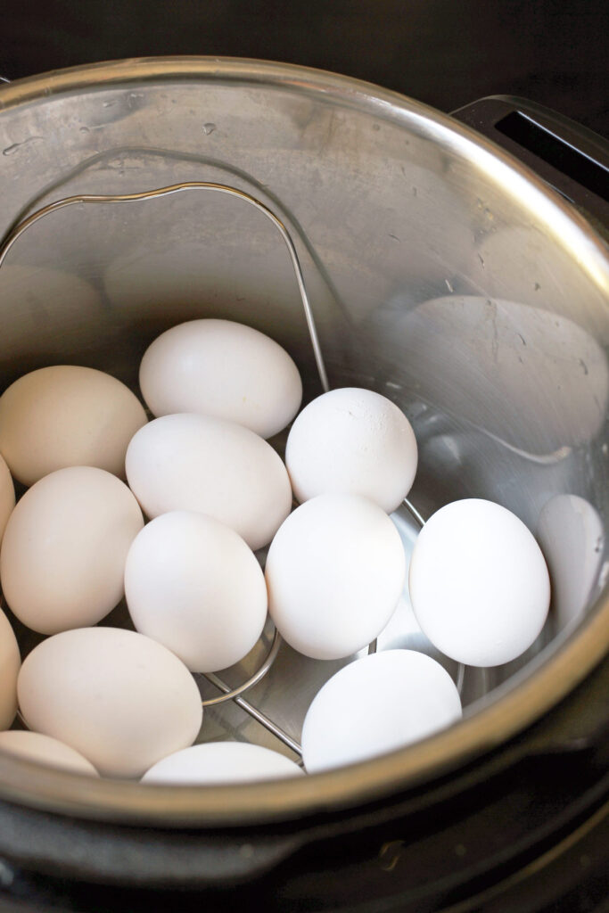 eggs on rack in instant pot