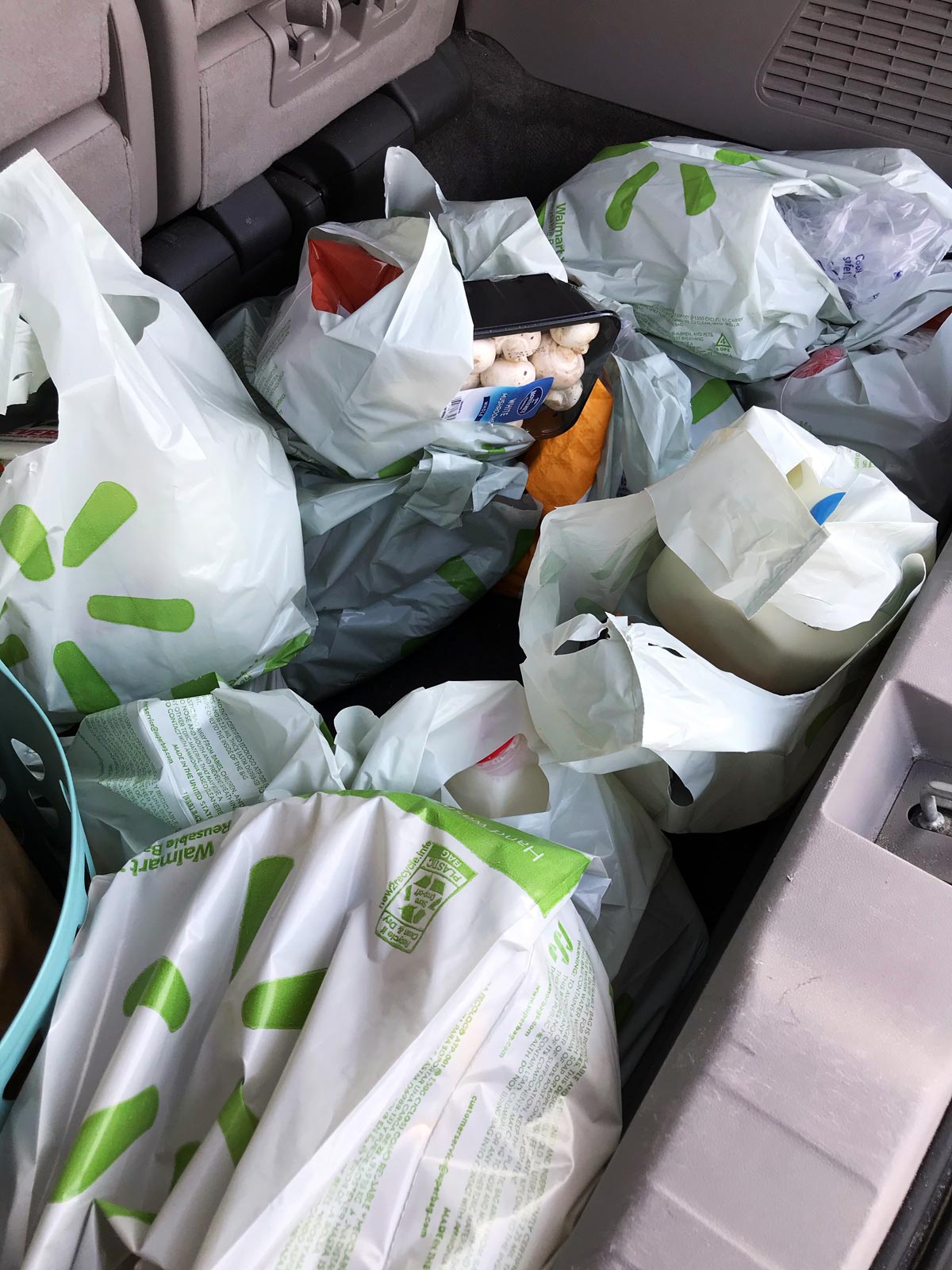 walmart grocery bags in back of van