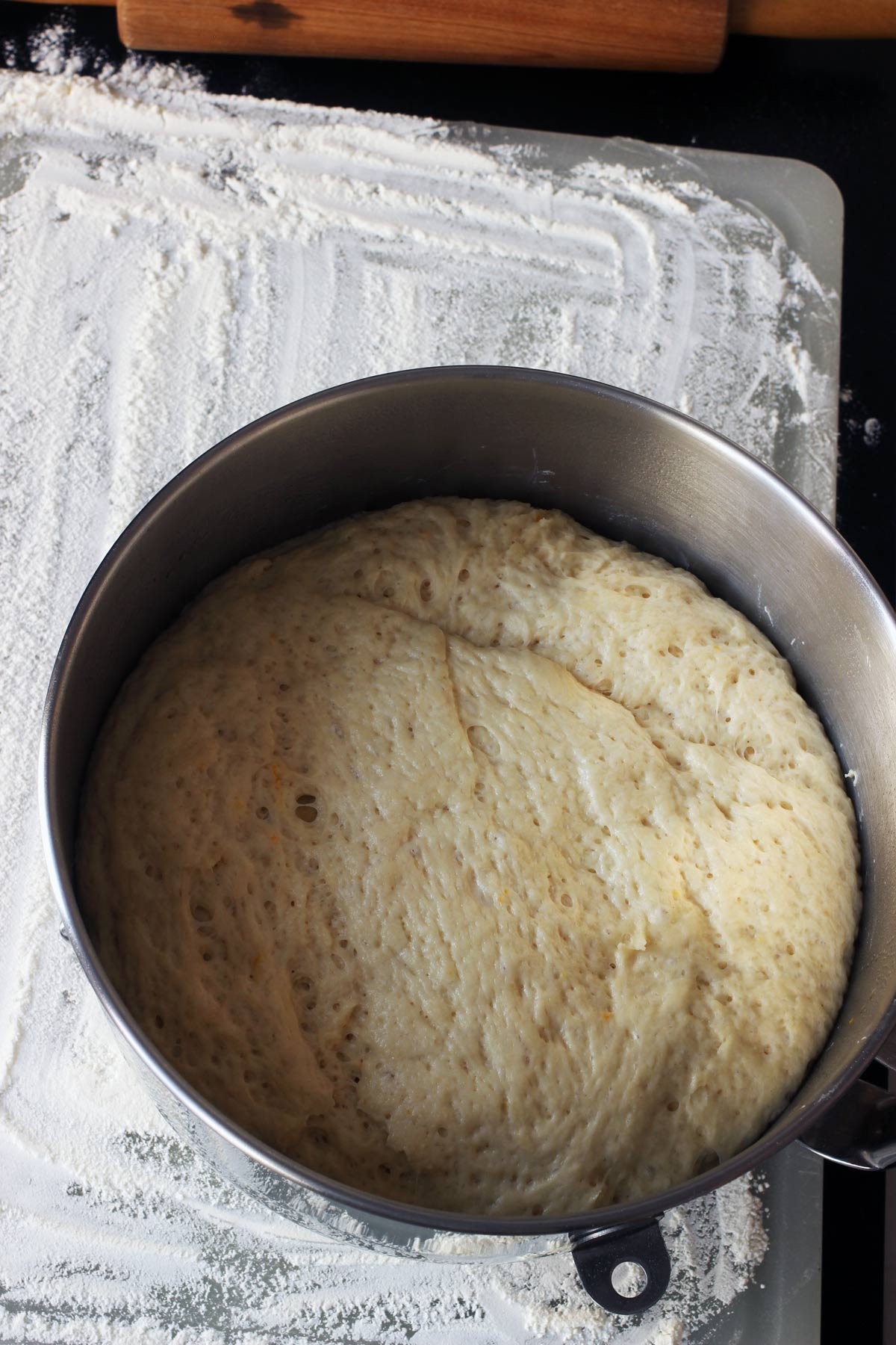 risen dough in bowl