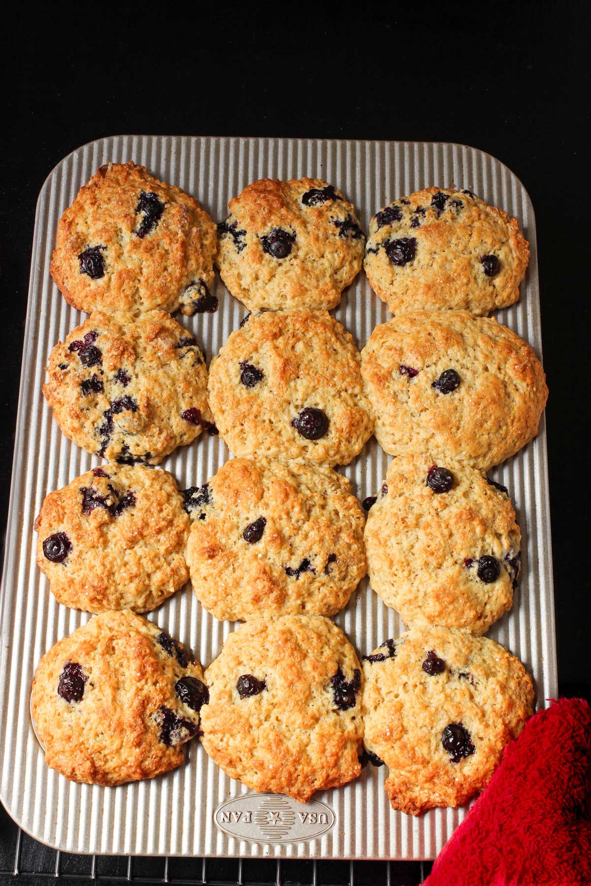 baked blueberry muffins in metal pan with red hot pad.