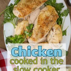 Slow Cooker Whole Chicken (Easy Crock-Pot Recipe) - Good Cheap Eats