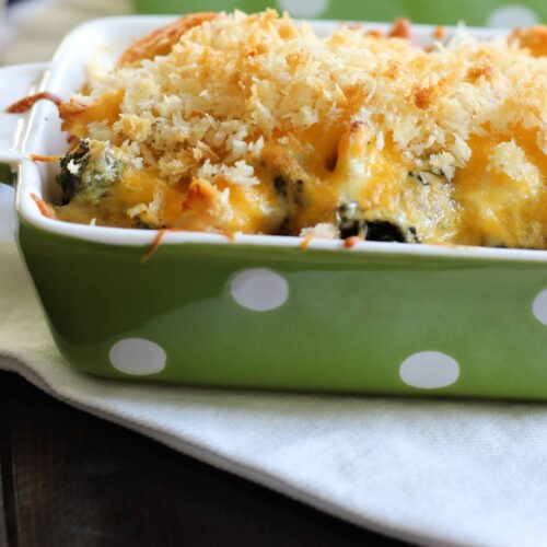 single serve green rectangle dish with chicken divan topped with breadcrumbs.