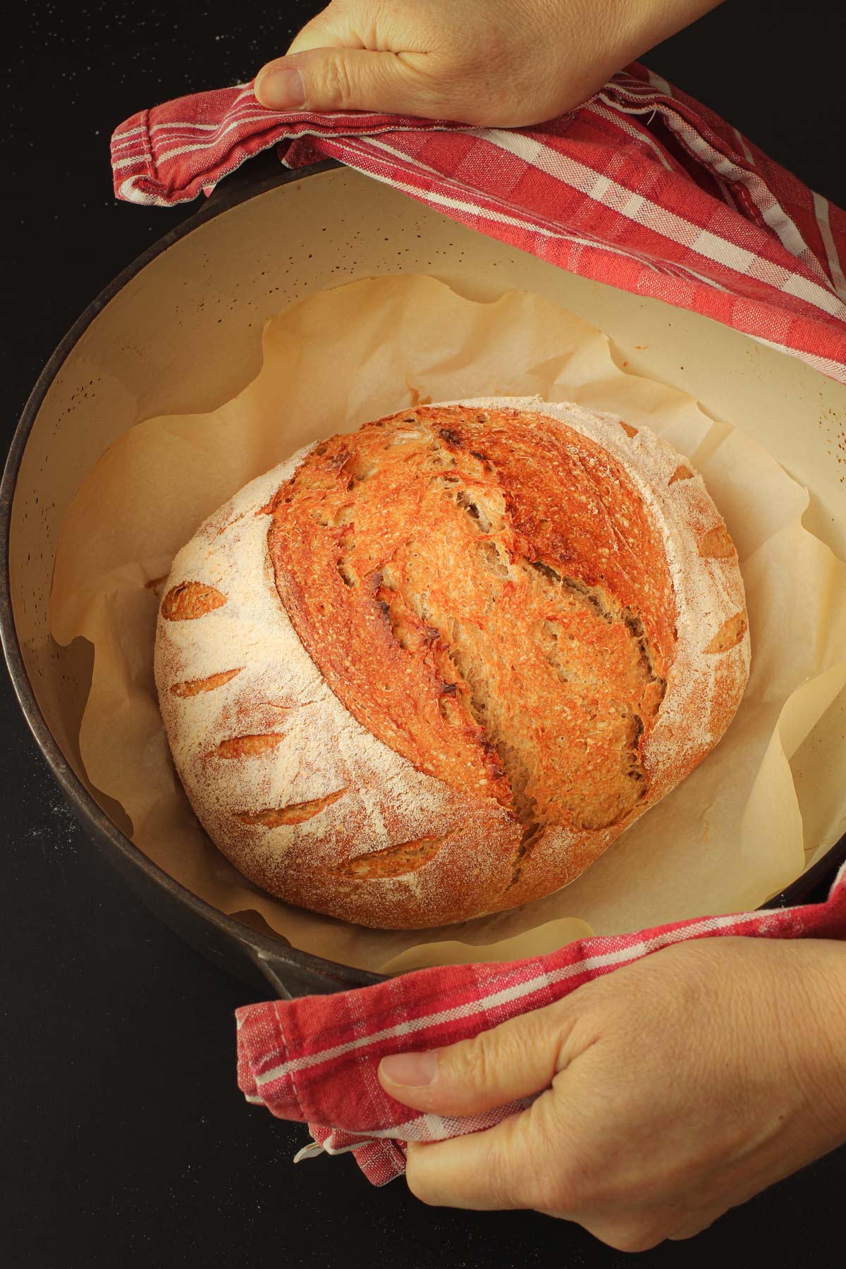 hands holding dutch oven with baked boule inside, using red cloth as hot pads.