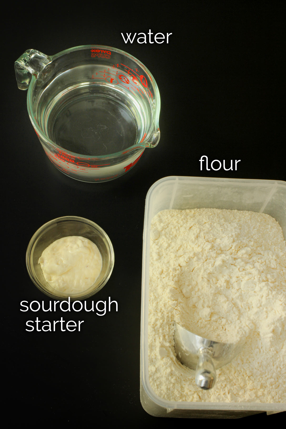 ingredients for feeding sourdough starter.