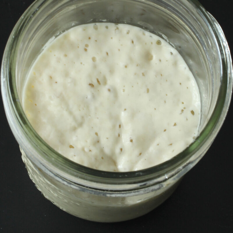 close up of bubble sourdough starter in mason jar.