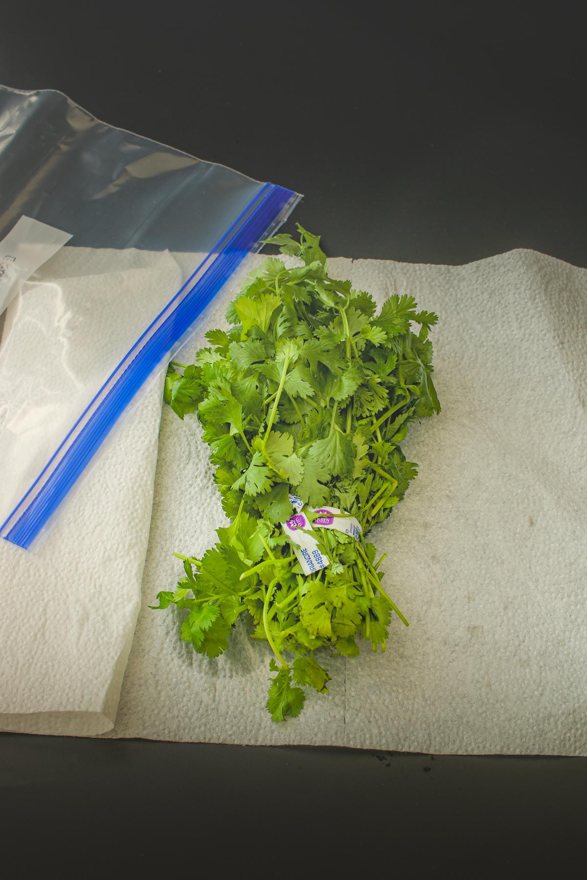 cilantro on paper toweling next to ziptop bag.