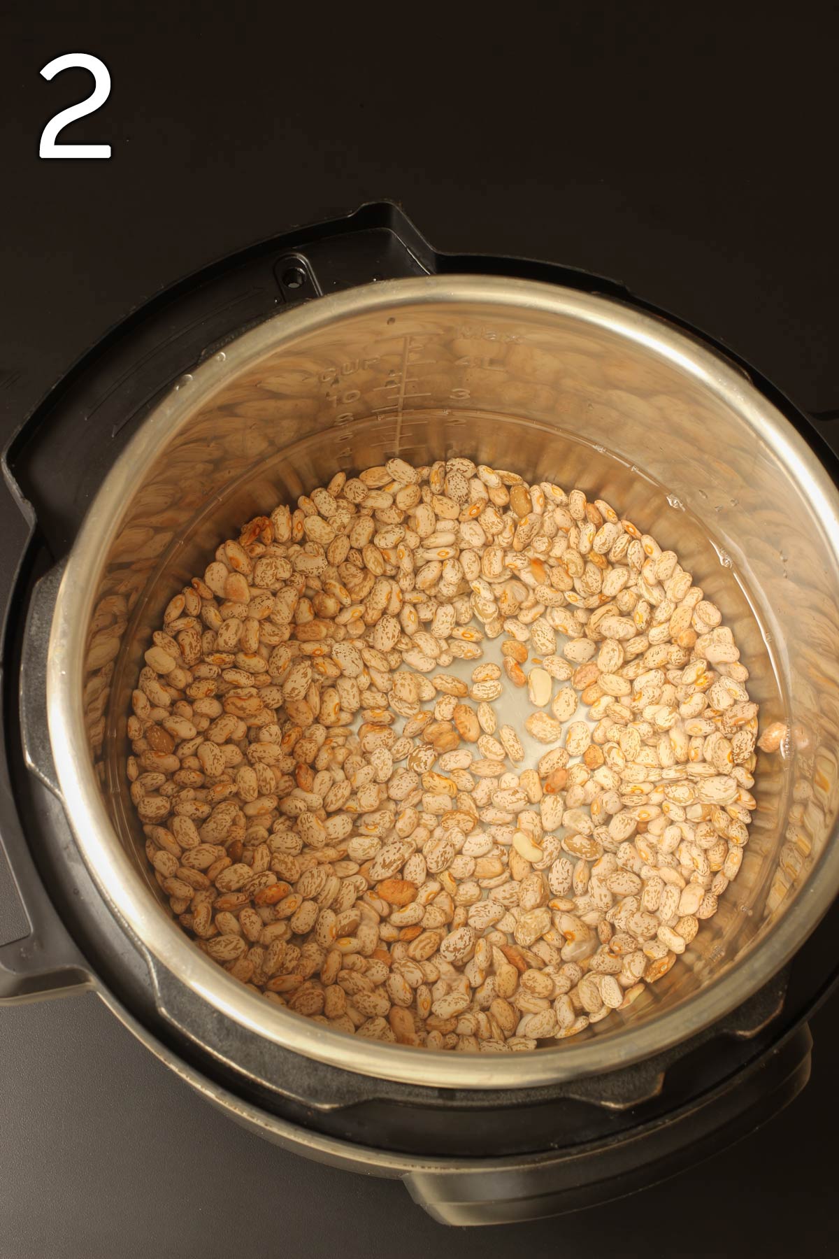 beans in instant pot insert, covered with water.