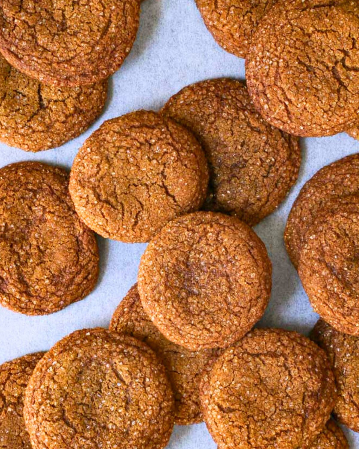 close up of molasses crinkles on parchment.