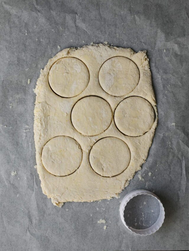 Self Rising Flour Biscuits Good Cheap Eats   Self Rising Flour Biscuits Roll Out 3 640x853 