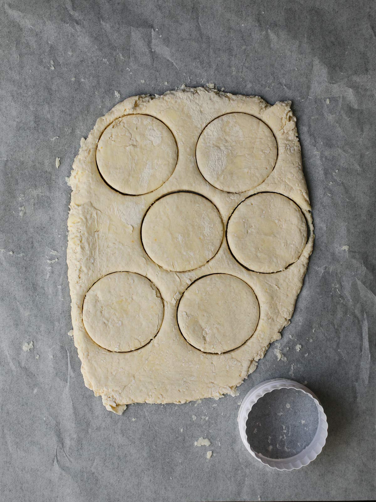 dough rolled and cut into rounds.