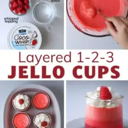 collage of jello cups, with text overlay.