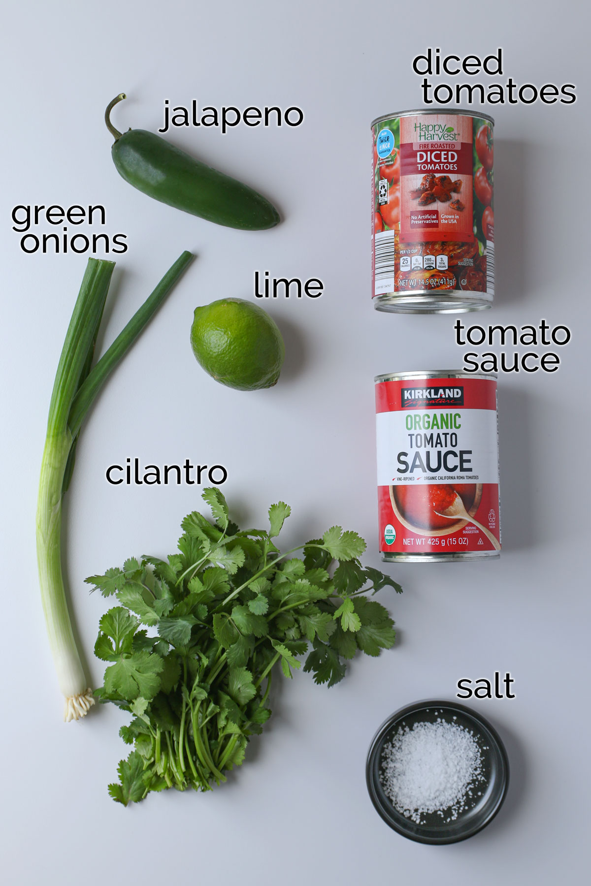 ingredients to make homemade salsa laid out on a white counter.