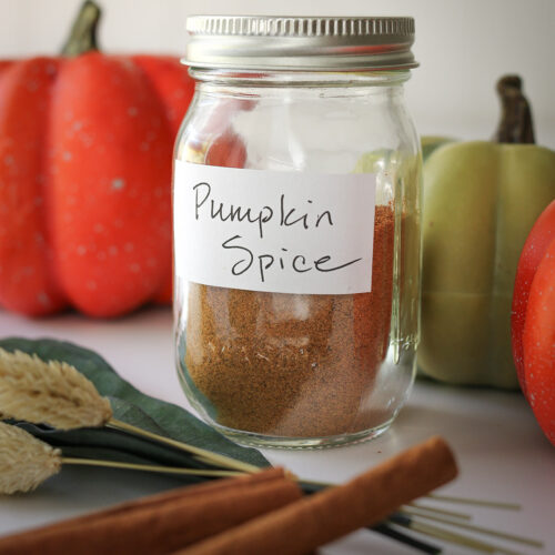 Easy Homemade Pumpkin Pie Spice Substitute Recipe - Good Cheap Eats