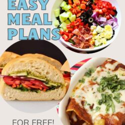 collage of meals in meal plan 11.