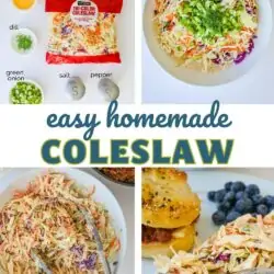 square collage of easy homemade coleslaw images.