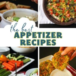 collage of best appetizer recipes, with text overlay.