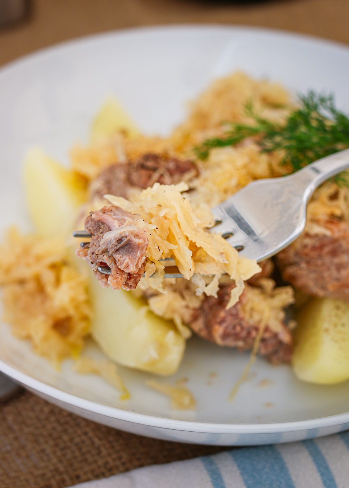 pork and sauerkraut on a fork near a plate of food.