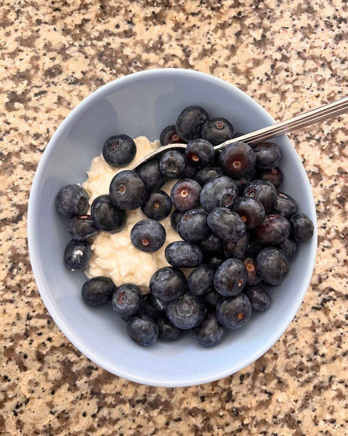 a blue bowl of cottage cheese and blueberries on granite counter.