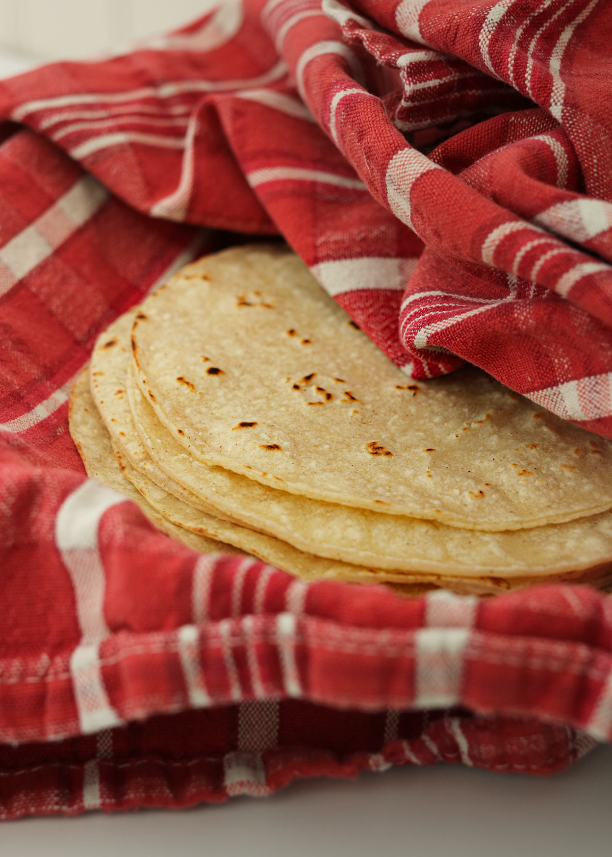 warmed corn tortillas wrapped in a red patterned towel.