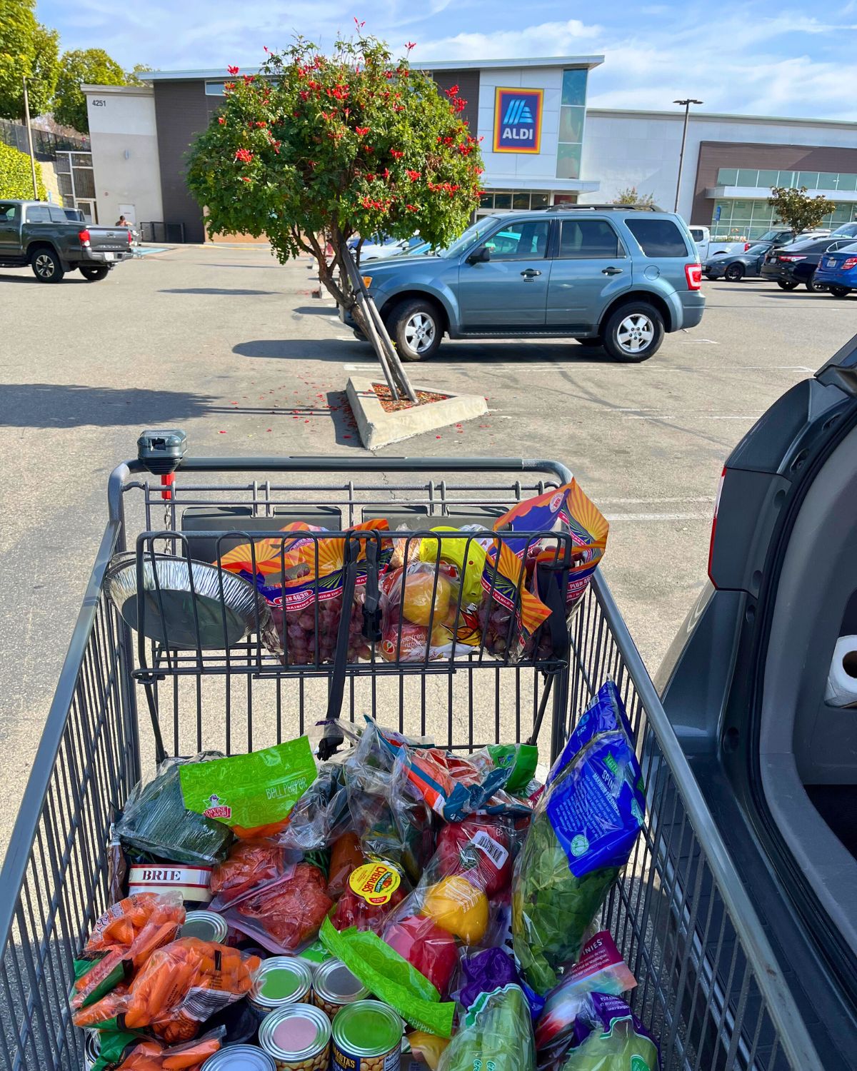 cart full of groceries outside of aldi.