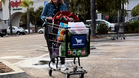 jessica pushing grocery cart in parking lot.