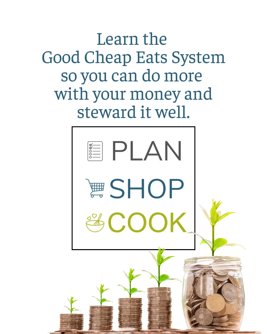good cheap eats system stewardship.