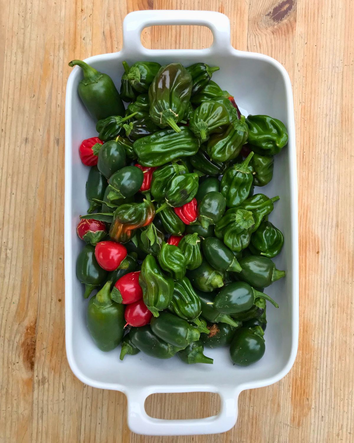 small chiles in a white ceramic dish.