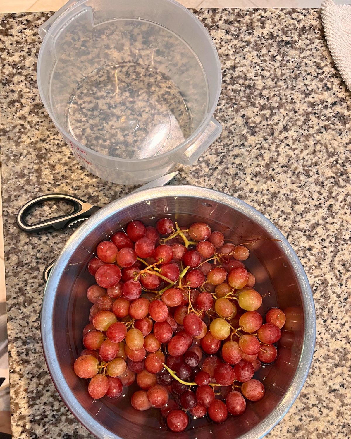 bowl of washed grapes with scissors and an empty storage container.